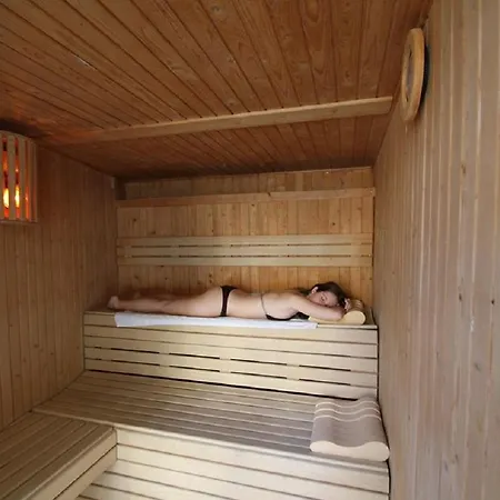 拉帕尔梅拉酒店和spa 酒店 4*
