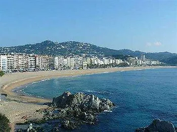 Hotel La Palmera & 4*