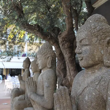 Hotel La Palmera &