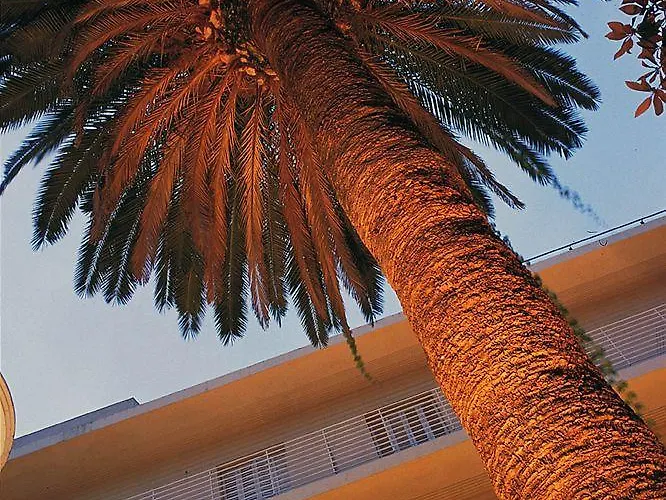 La Palmera & Отель 4*